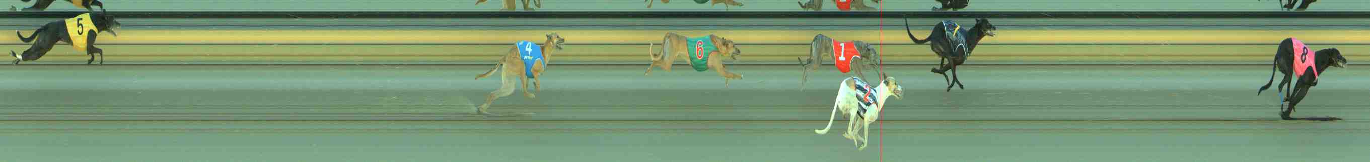 Photo finish for Sale Race 3