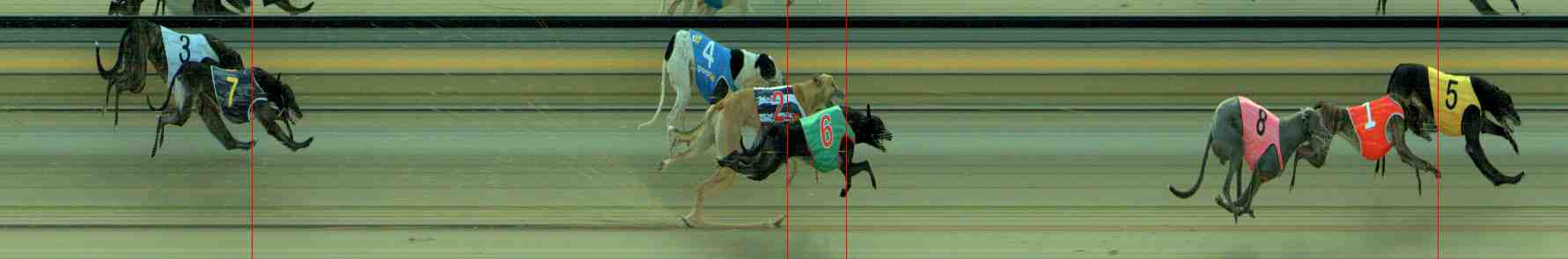Photo finish for Sale Race 4