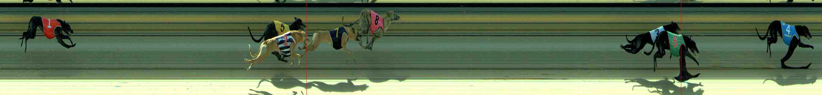 Photo finish for Sale Race 5