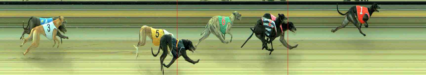 Photo finish for Sale Race 6