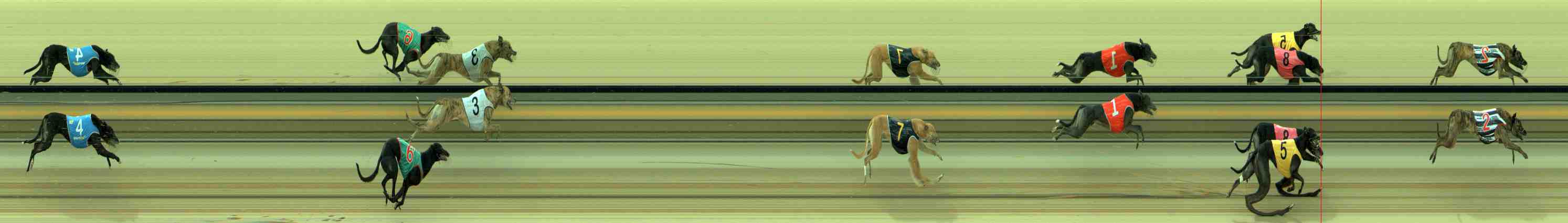 Photo finish for Sale Race 7