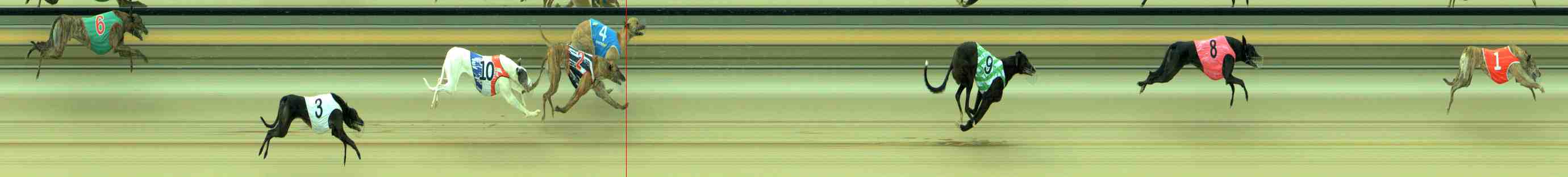 Photo finish for Sale Race 8