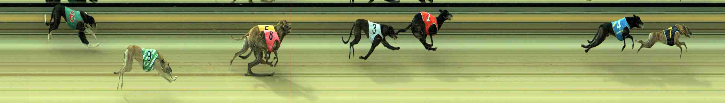 Photo finish for Sale Race 9