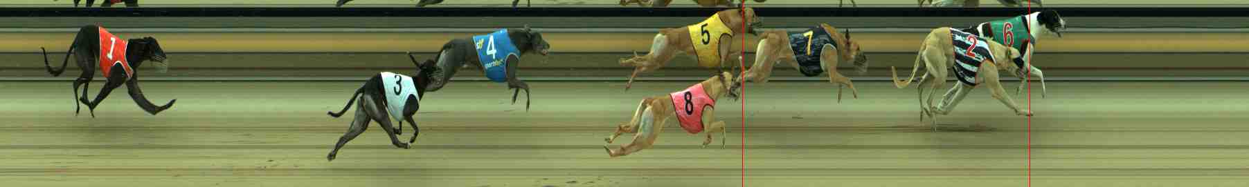 Photo finish for Sale Race 10