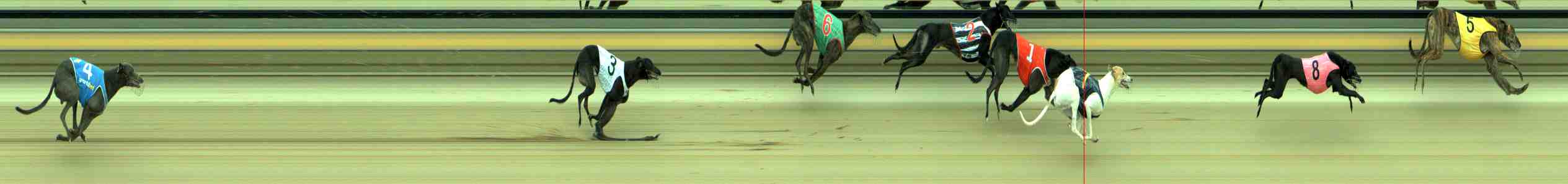 Photo finish for Sale Race 11
