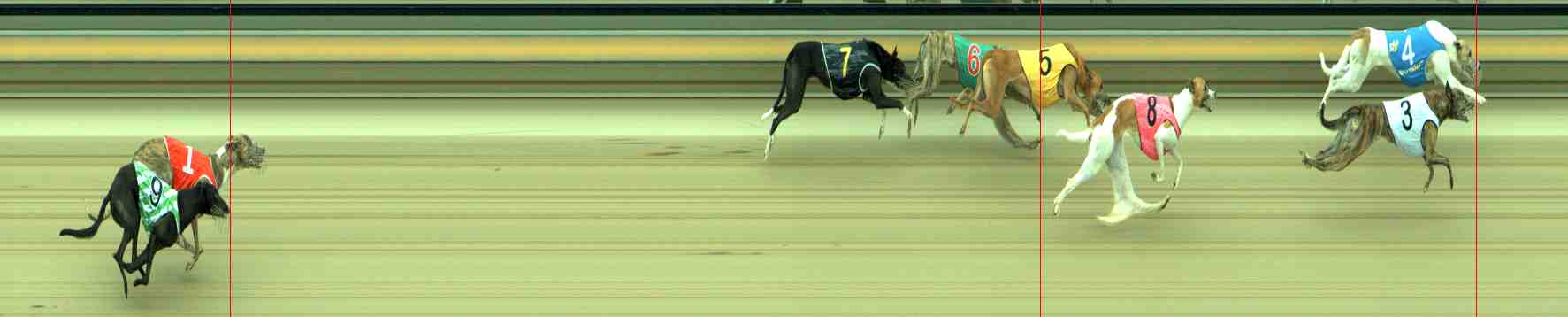 Photo finish for Sale Race 12