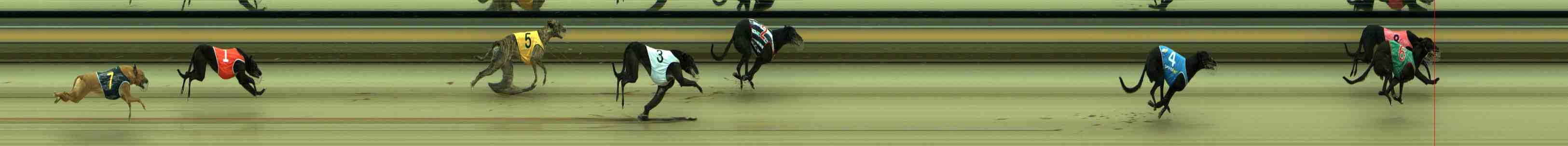 Photo finish for Sale Race 1