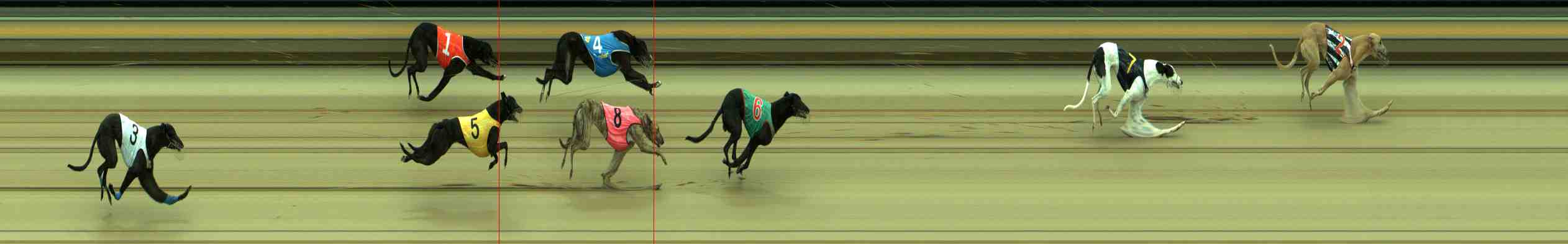 Photo finish for Sale Race 2