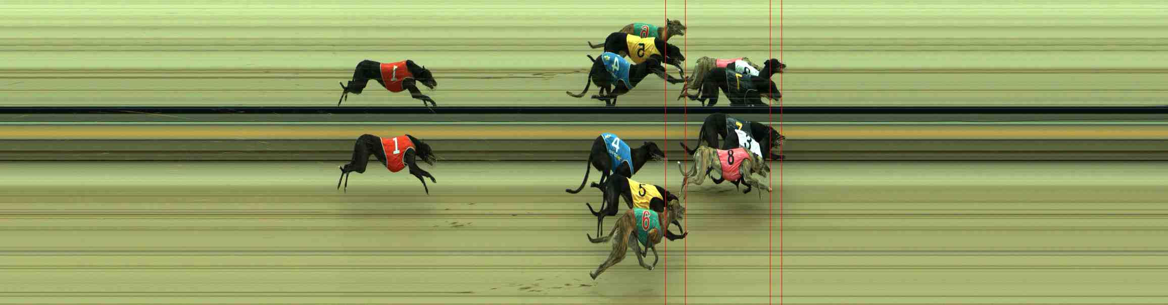 Photo finish for Sale Race 3