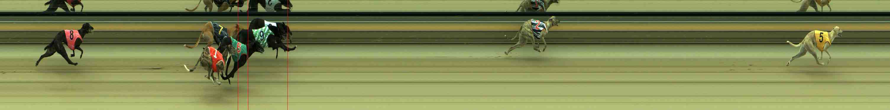 Photo finish for Sale Race 4