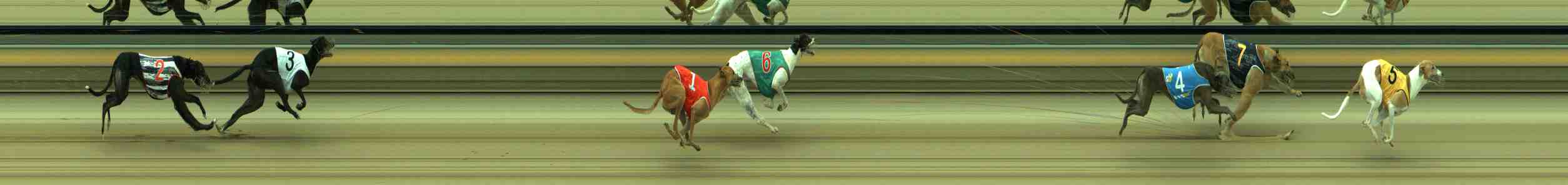 Photo finish for Sale Race 5