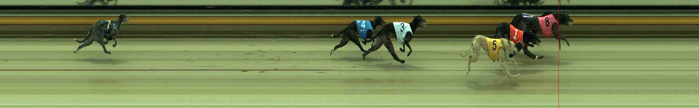 Photo finish for Sale Race 7