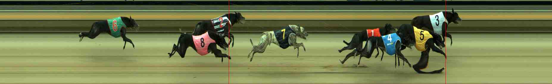 Photo finish for Sale Race 8