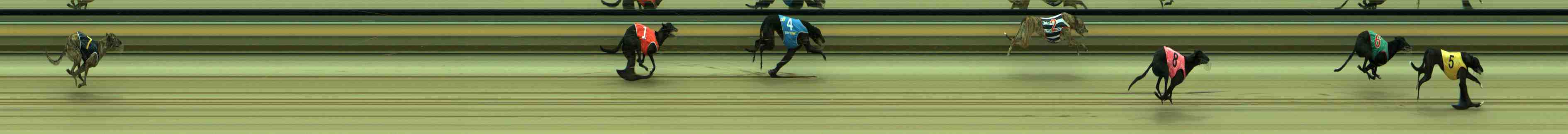 Photo finish for Sale Race 9
