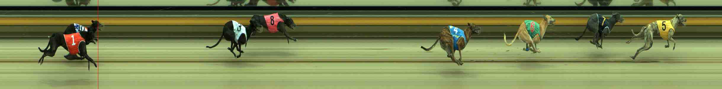 Photo finish for Sale Race 10