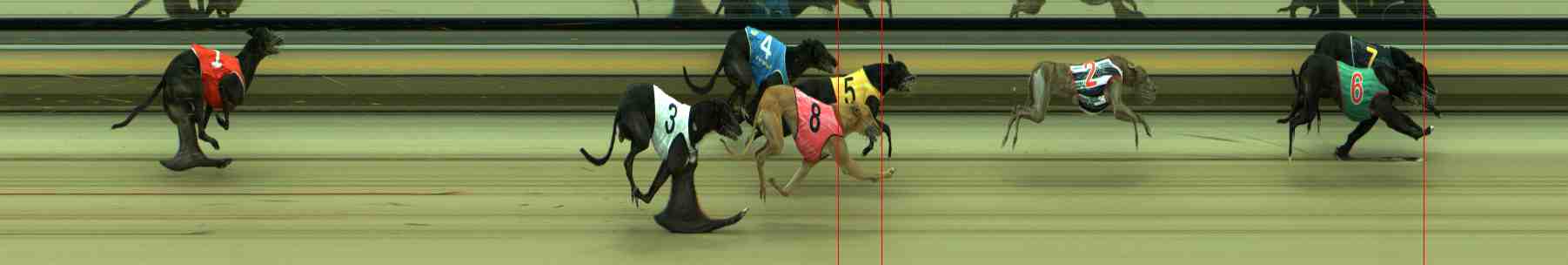 Photo finish for Sale Race 11