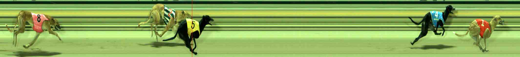 Race result finish photo