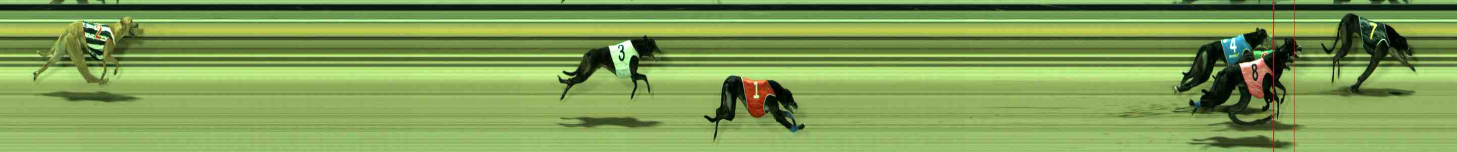 Race result finish photo