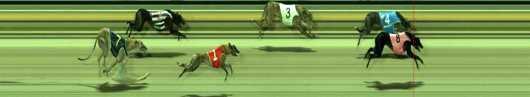Race result finish photo