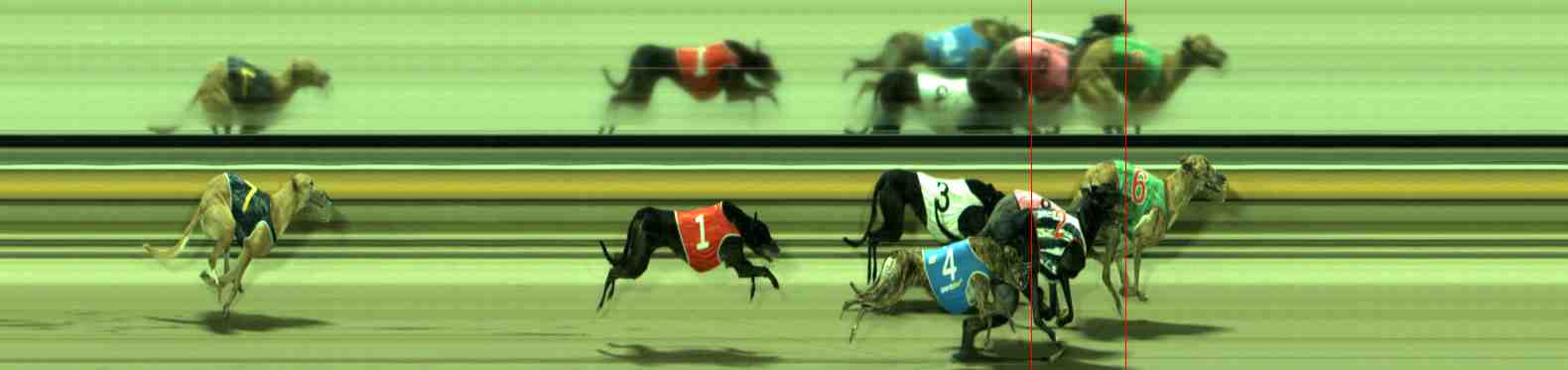 Race result finish photo