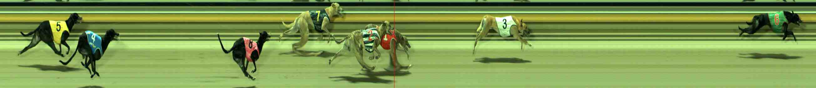 Race result finish photo