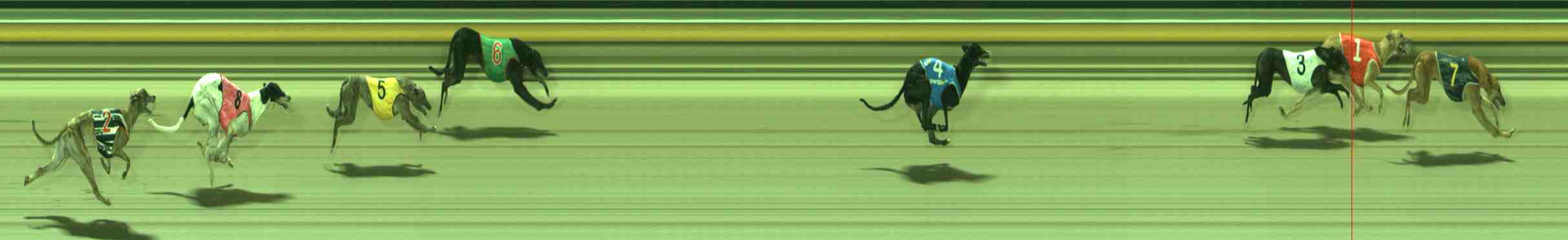 Race result finish photo