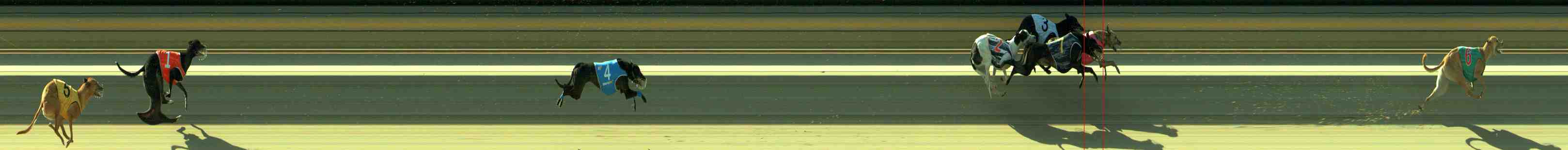 Photo finish for Sale Race 2