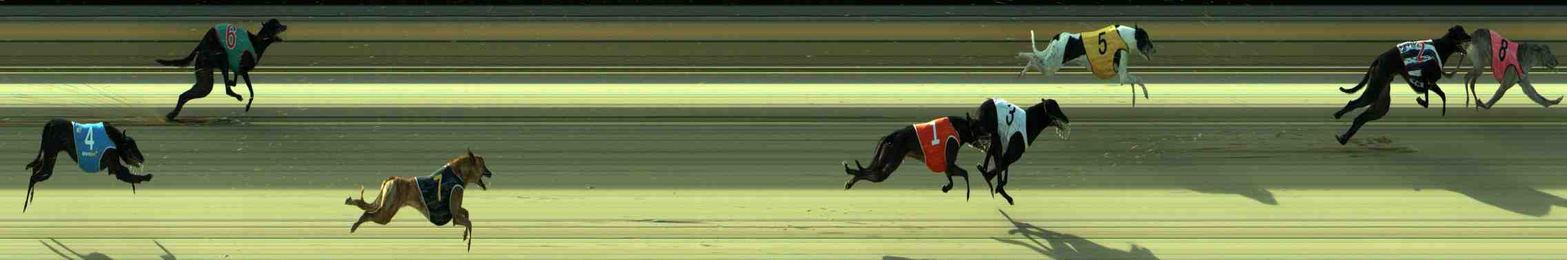 Photo finish for Sale Race 4