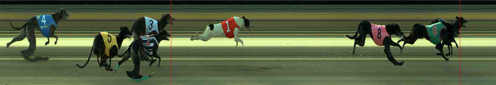 Photo finish for Sale Race 5