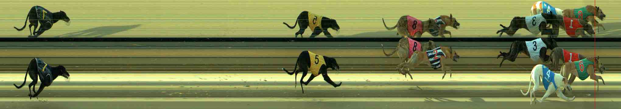 Photo finish for Sale Race 6