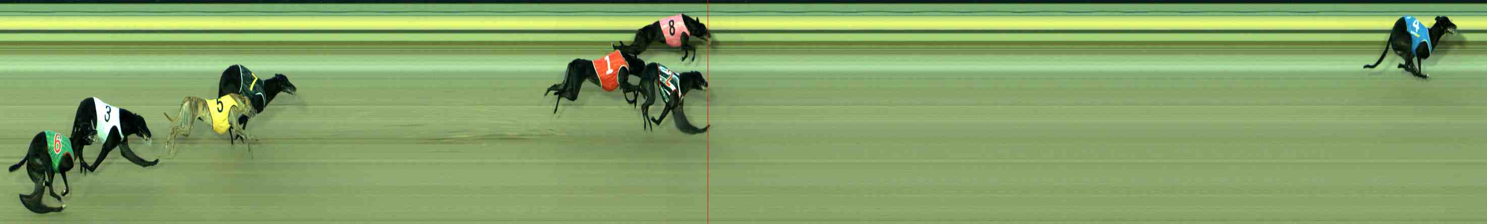 Photo finish for Sale Race 9