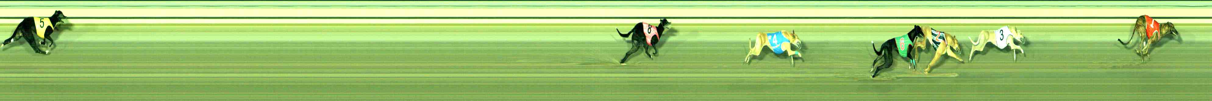 Photo finish for Sale Race 10