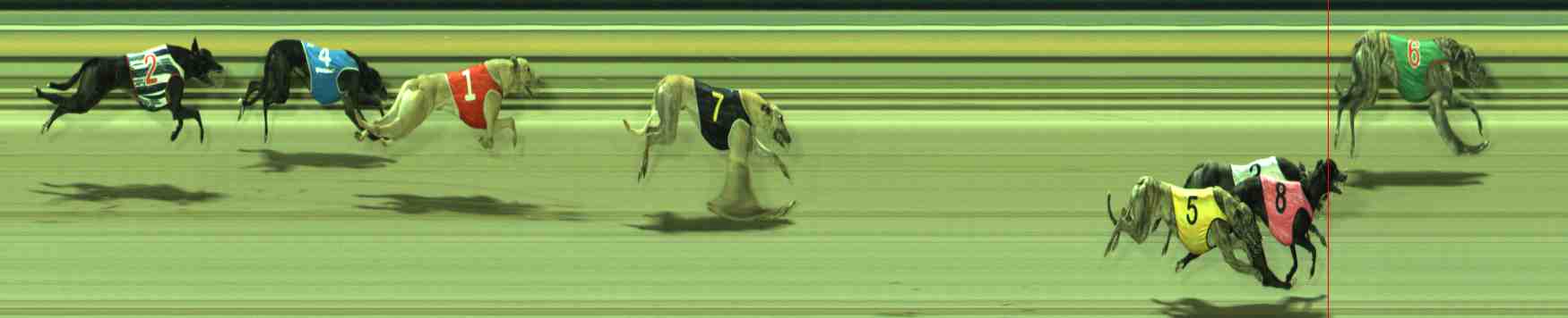 Photo finish for Sale Race 11
