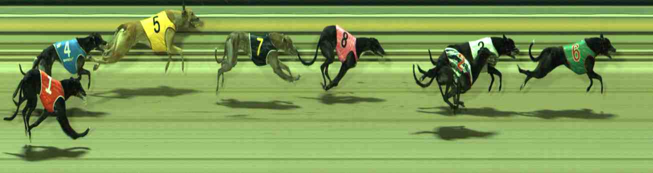 Photo finish for Sale Race 12