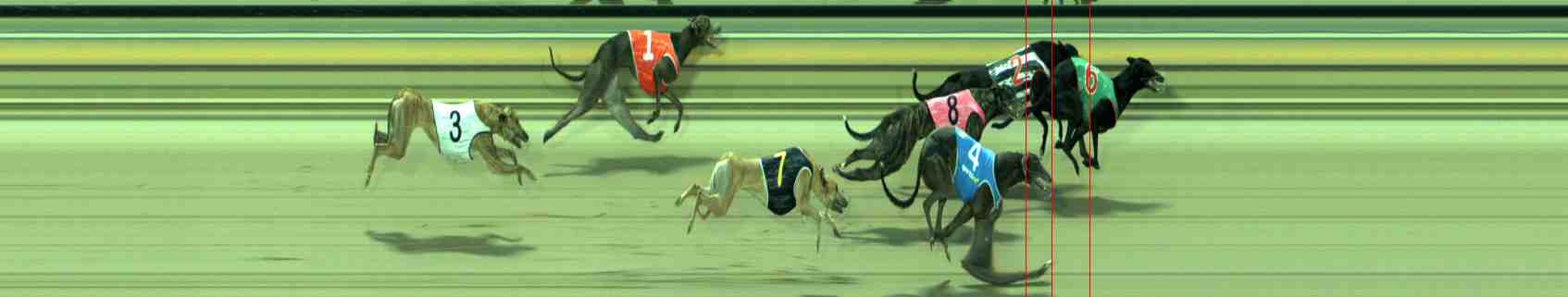 Race result finish photo