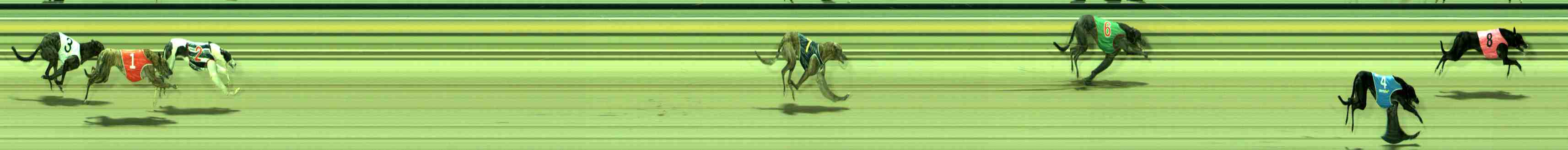Photo finish for Sale Race 2