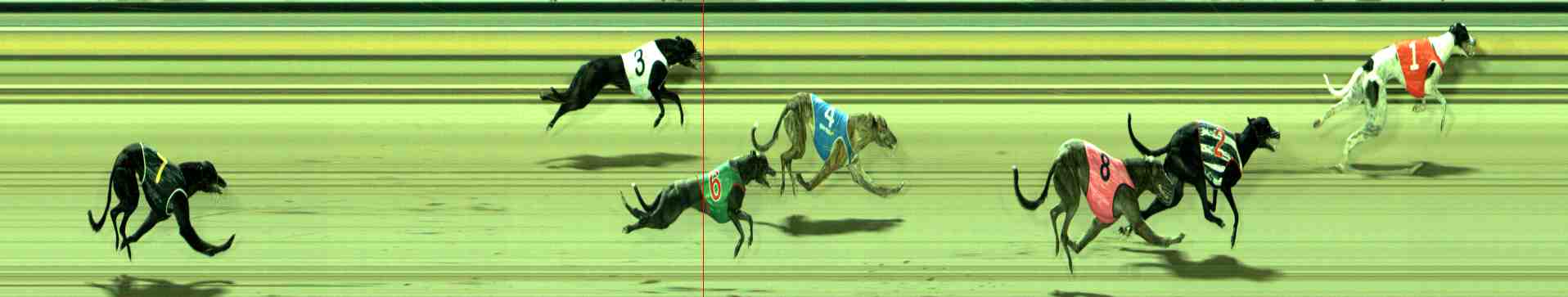 Photo finish for Sale Race 3