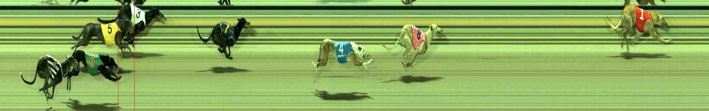 Photo finish for Sale Race 4
