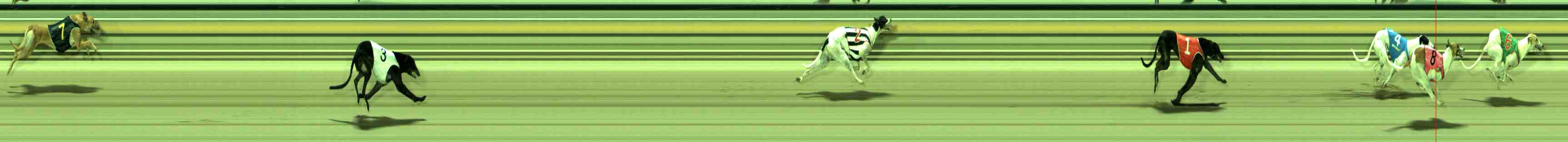Photo finish for Sale Race 5