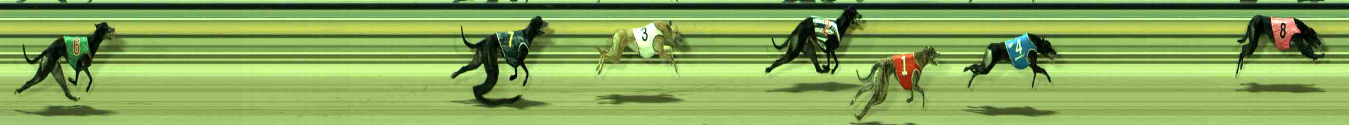 Photo finish for Sale Race 6