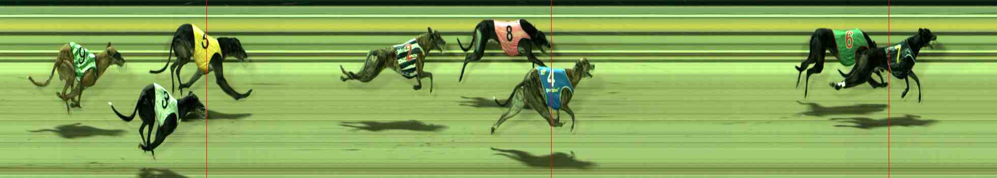 Photo finish for Sale Race 8