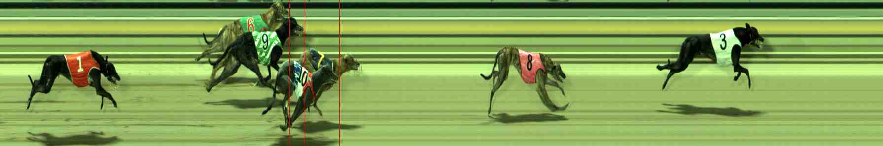 Photo finish for Sale Race 9