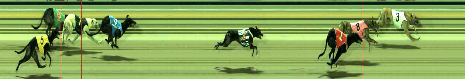 Photo finish for Sale Race 10