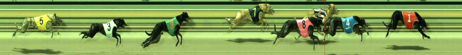 Photo finish for Sale Race 11