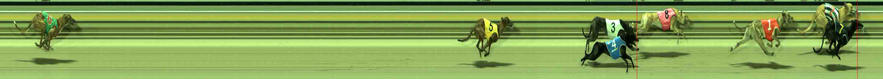 Photo finish for Sale Race 12