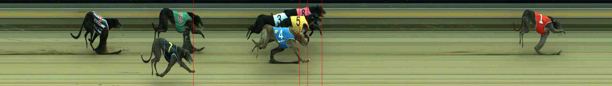 Photo finish for Sale Race 2