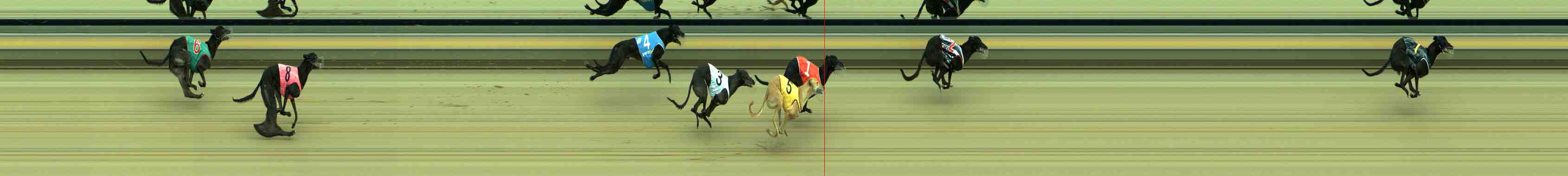 Photo finish for Sale Race 4