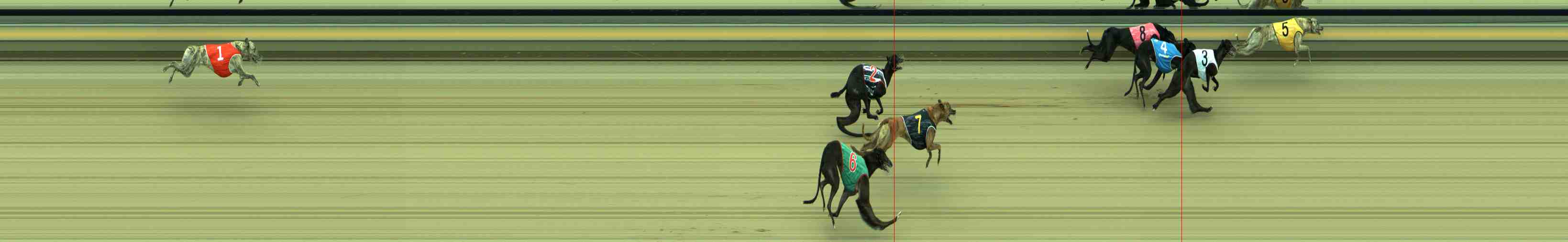 Photo finish for Sale Race 5