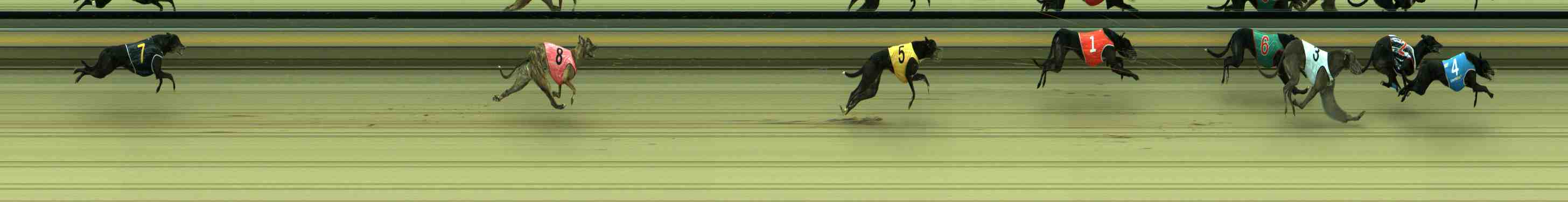 Photo finish for Sale Race 6