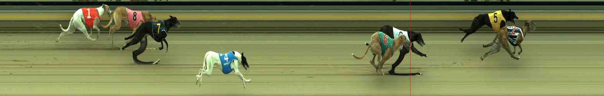 Photo finish for Sale Race 7